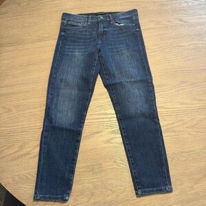 Banana Republic Dark Wash Denim Skinny Jeans Sz 30 Classic Y2K Quiet Luxury